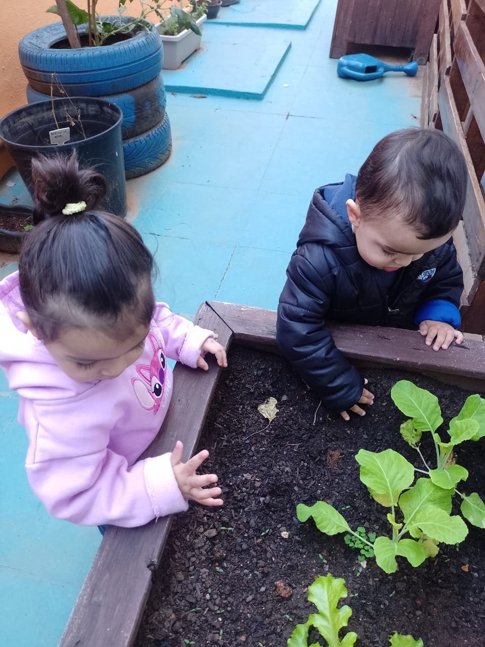 Duas crianças explorando as plantas da horta escolar no Colégio Infantil Futura.