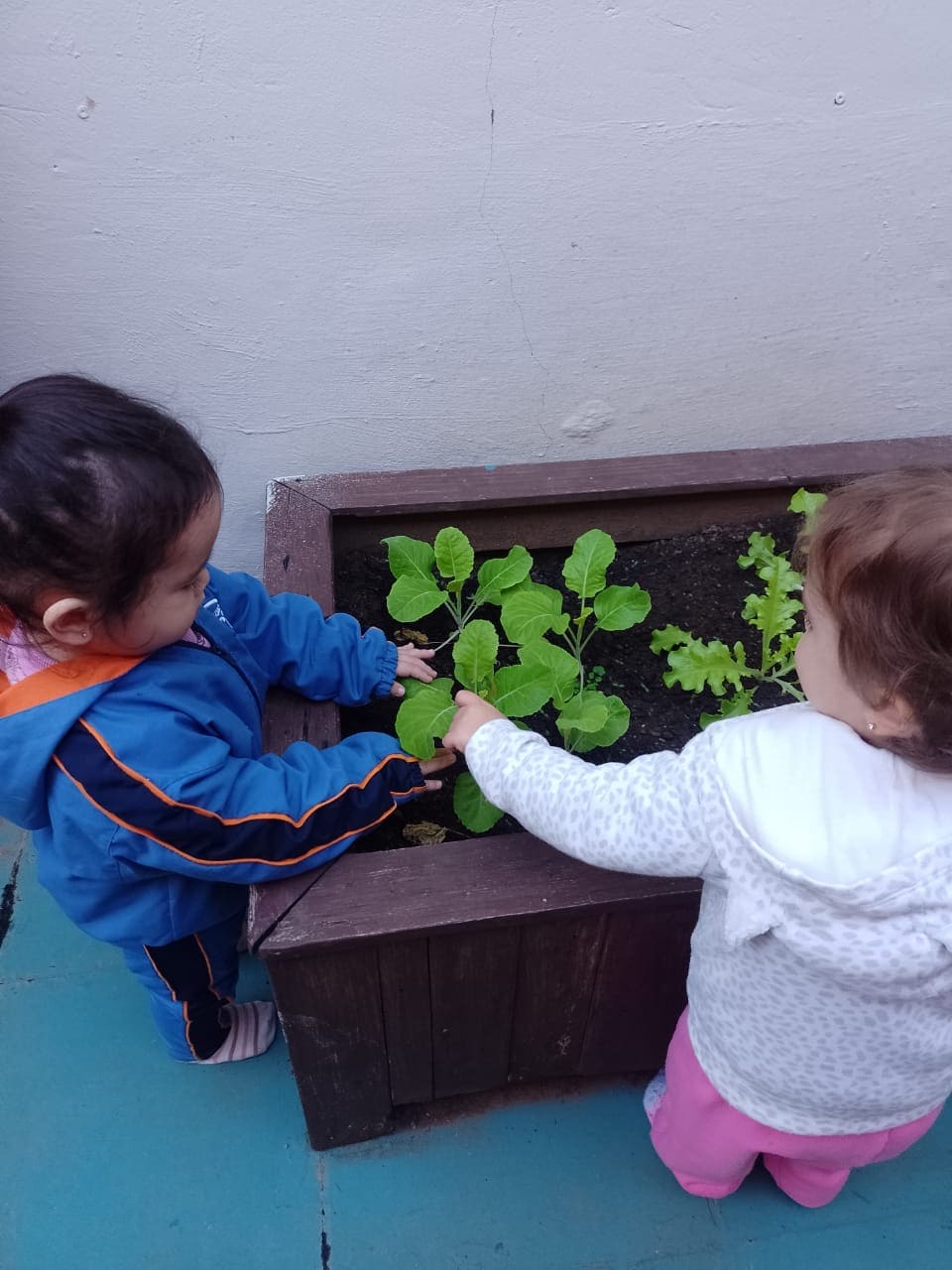 Crianças explorando a horta do Colégio Infantil Futura em atividade de educação ambiental.