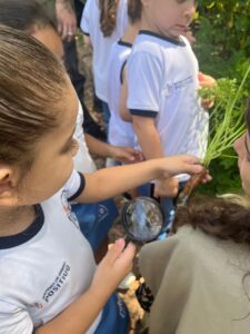 Aluna do Colégio Futura Infantil Jundiaí Grupo 3 observando uma cenoura com lupa, aprendendo sobre raízes no Jardim Botânico de Jundiaí SP